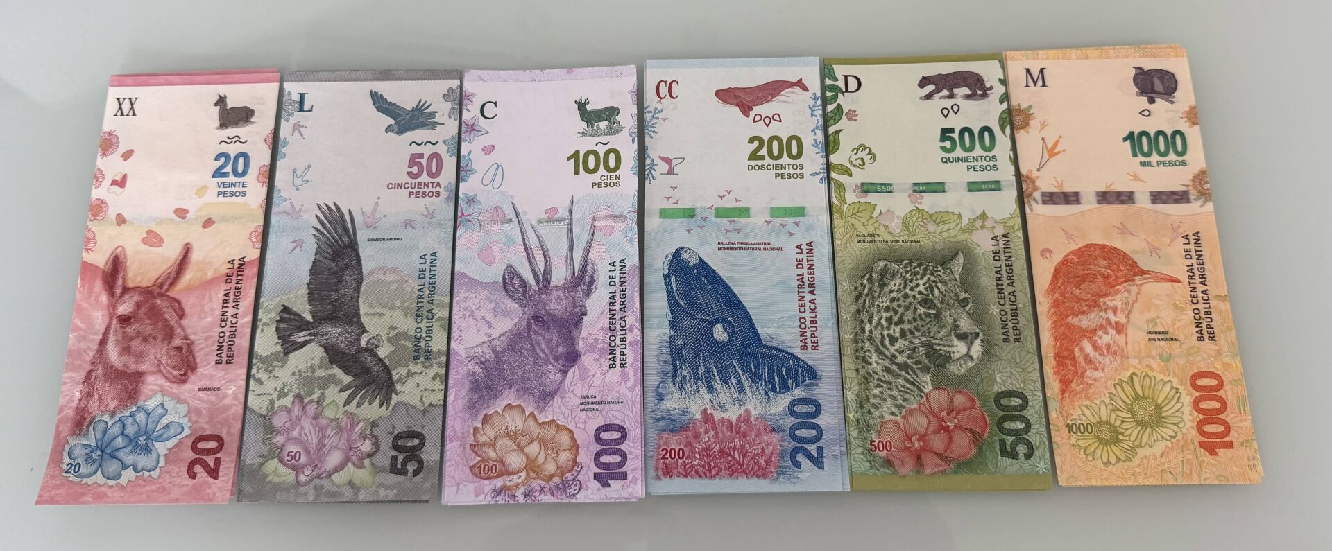 Arjantin 20-50-100-200-500-1000, ÇİL (Set)